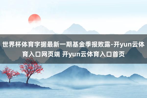 世界杯体育字据最新一期基金季报败露-开yun云体育入口网页端 开yun云体育入口首页