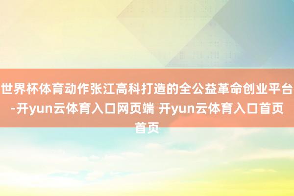 世界杯体育动作张江高科打造的全公益革命创业平台-开yun云体育入口网页端 开yun云体育入口首页