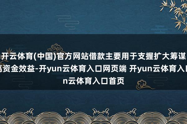 开云体育(中国)官方网站借款主要用于支握扩大筹谋及提高资金效益-开yun云体育入口网页端 开yun云体育入口首页